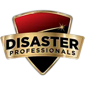 Disaster Professionals, LLC