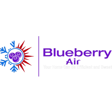 BLUEBERRY AIR