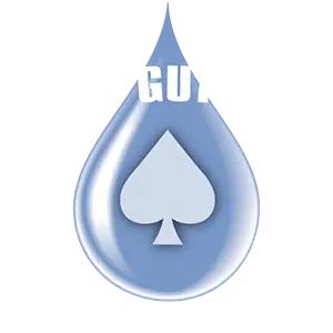 Ace Gutter