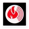 PYRO - COMM SYSTEMS INC