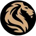 LYON'S PAINTING AND FINISHING INC