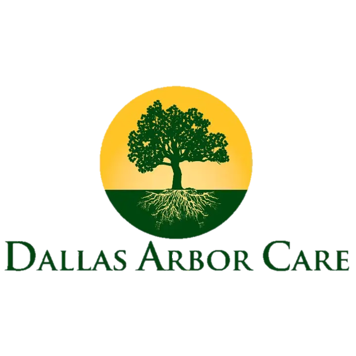 Dallas Arbor Care