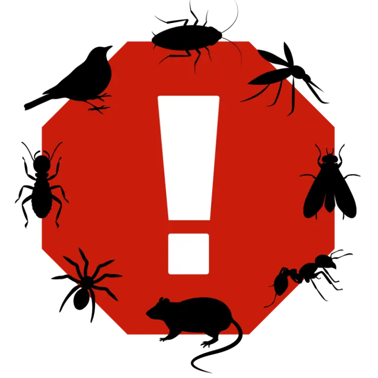 Dixon Pest Control