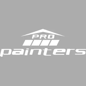 PRO PAINTERS