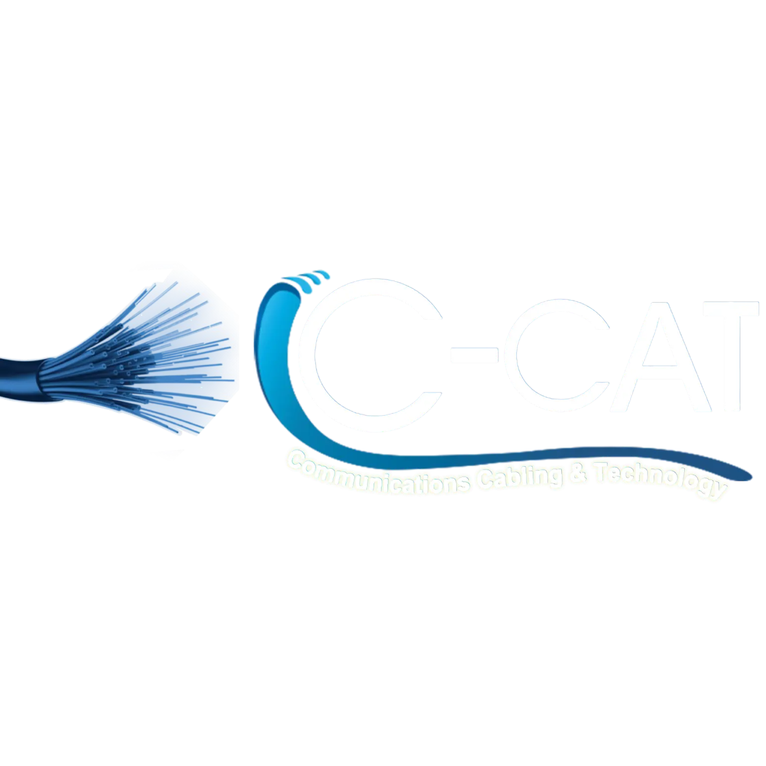 C-CAT INC