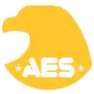 Allied Emergency Services, Inc.