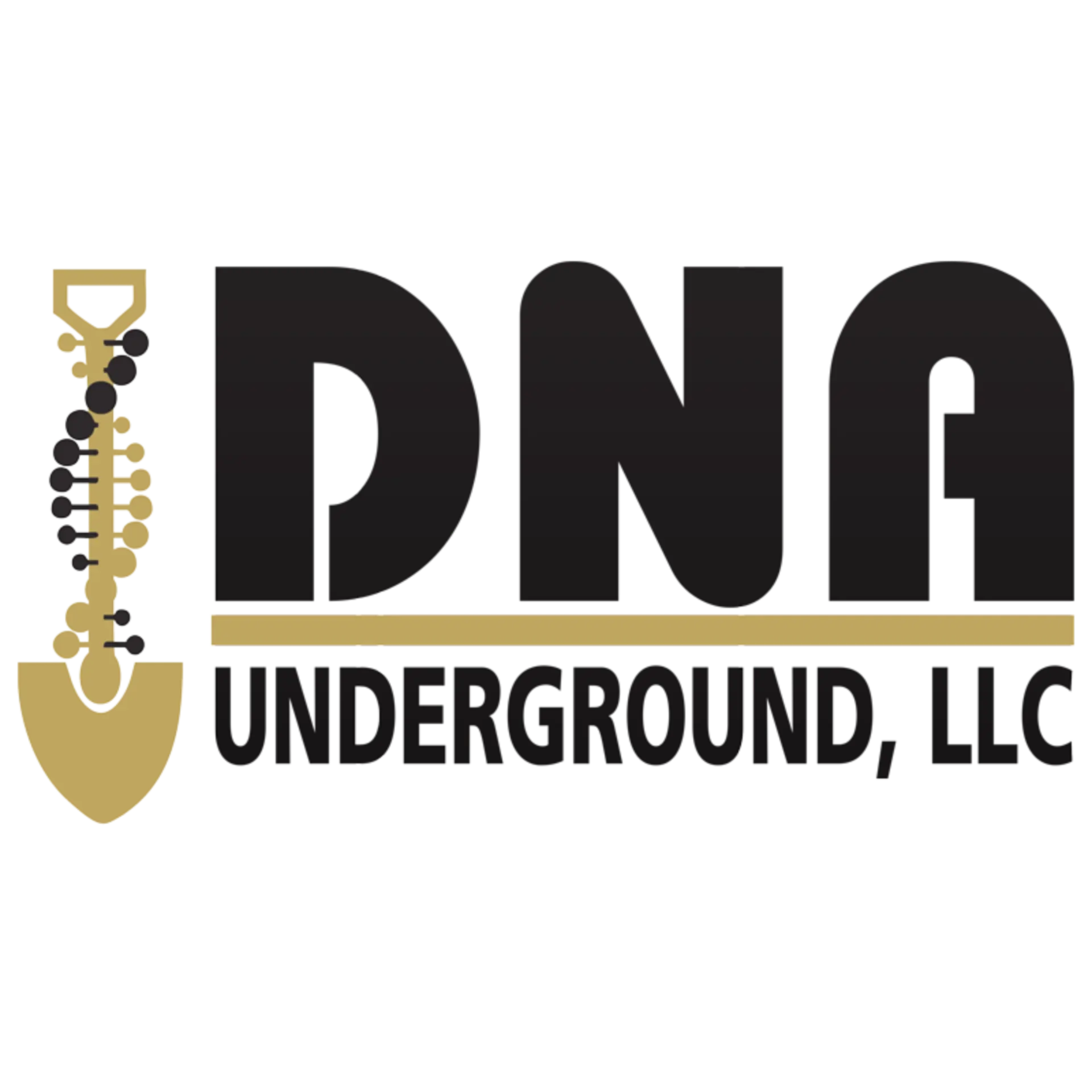 DNA UNDERGROUND LLC