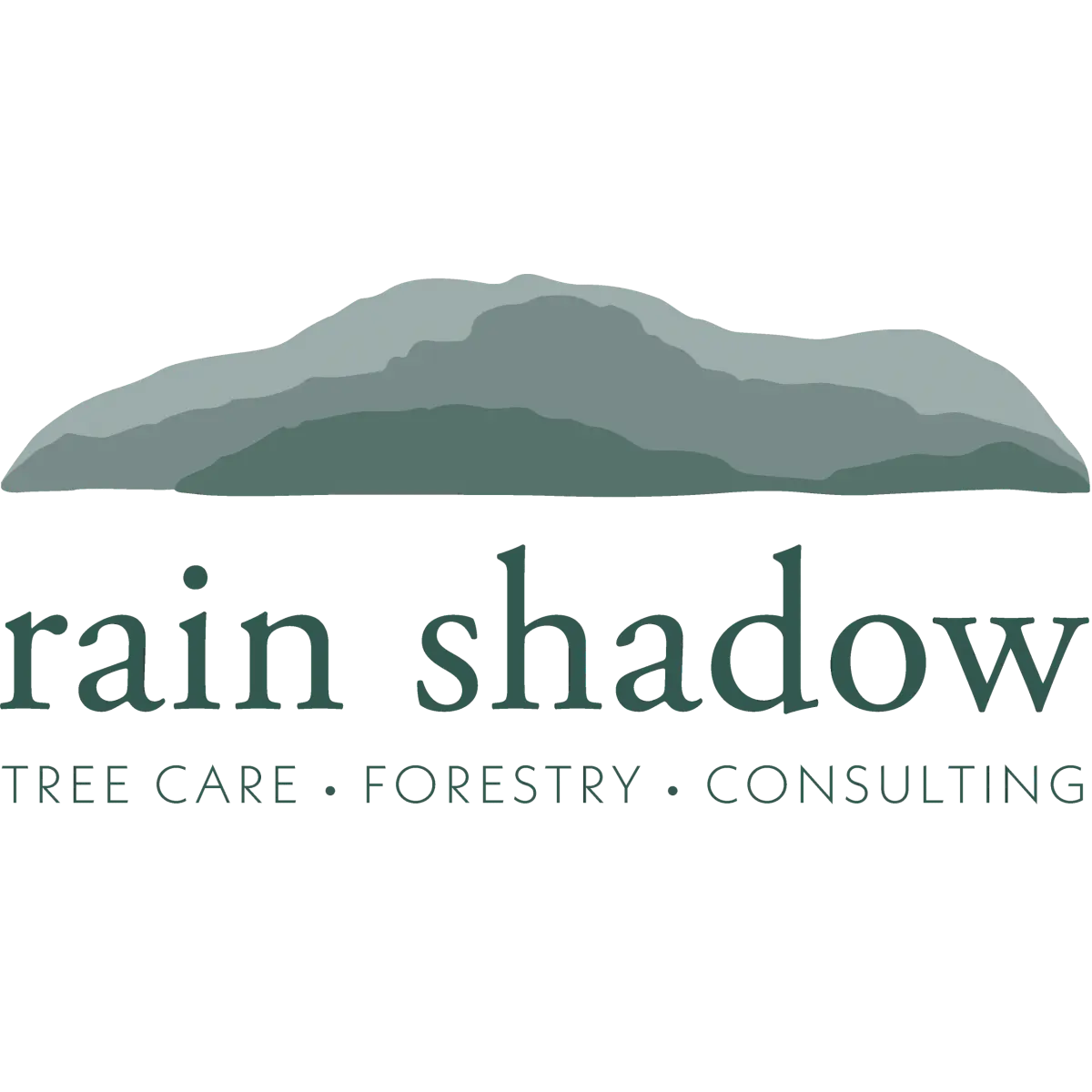RAIN SHADOW CONSULTING LLC