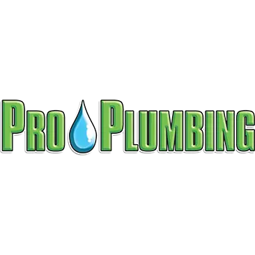 Pro-Plumbing Services, Corp.