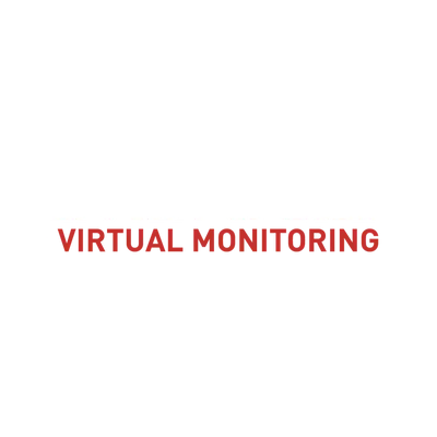 AMERICAN VIRTUAL MONITORING INC
