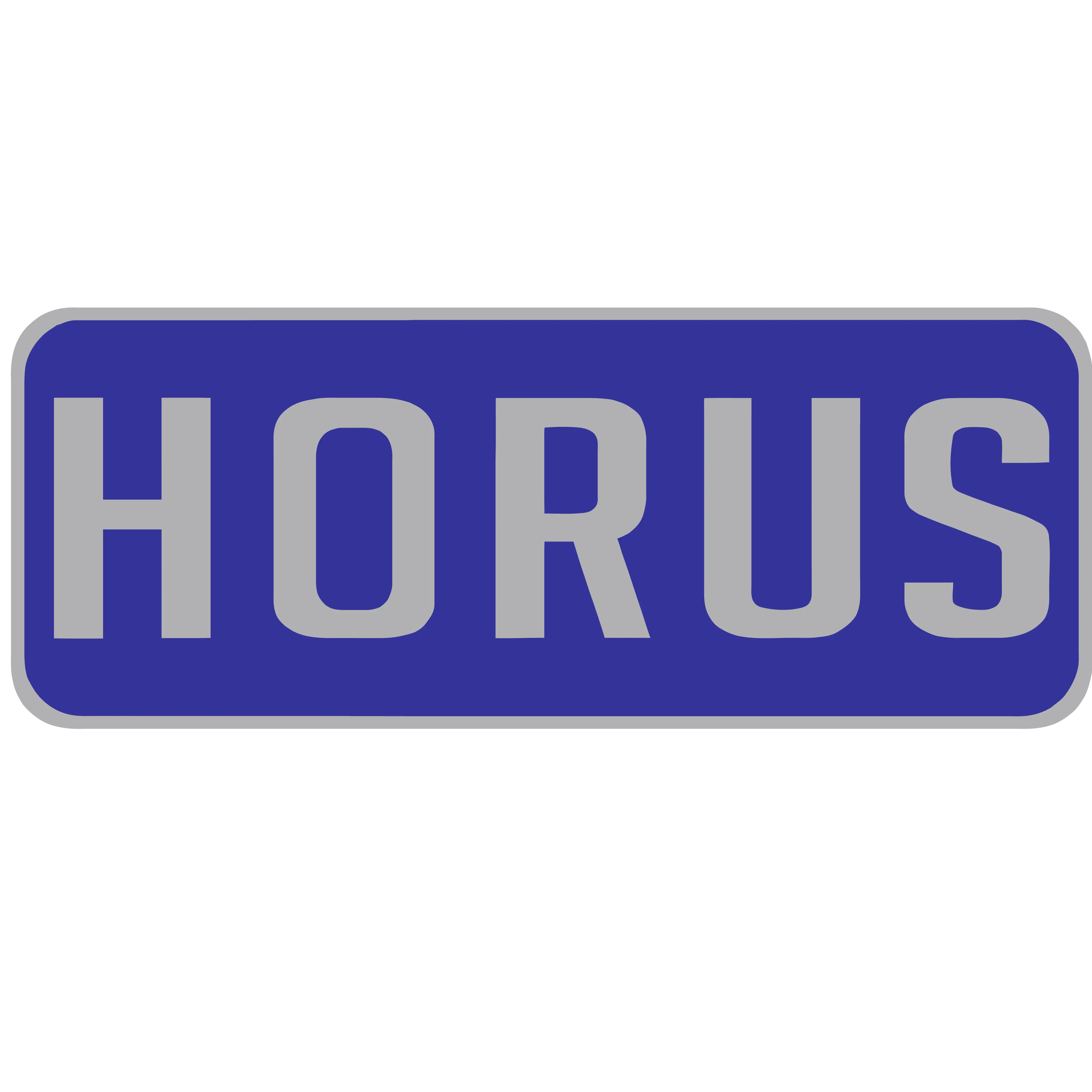 HORUS CONSTRUCTION SERVICES INC