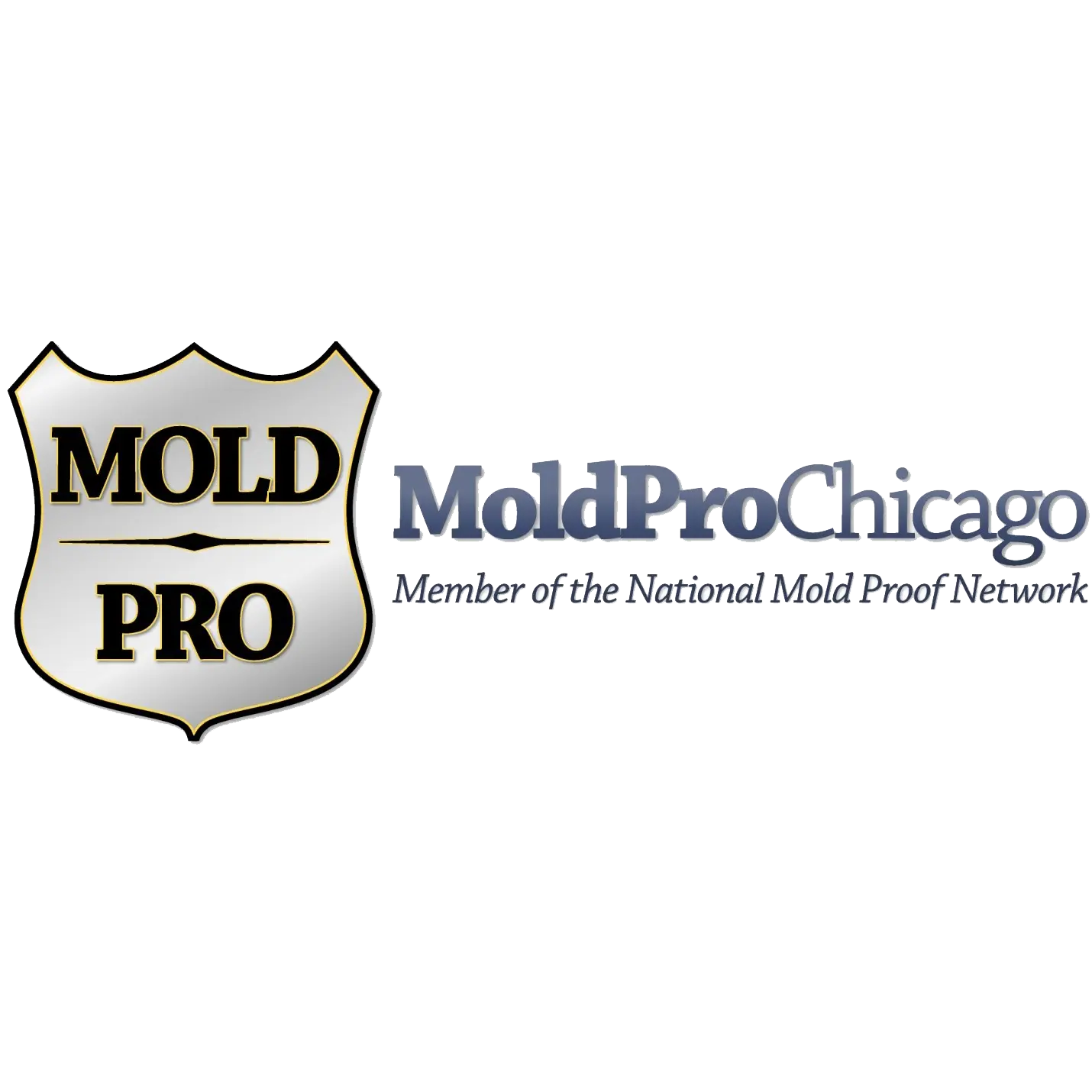 Mold Pro Chicago
