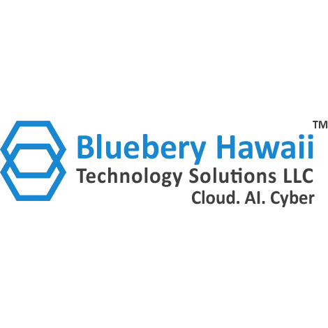 BLUEBERY HAWAII TECHNOLOGY SOLUTIONS LLC