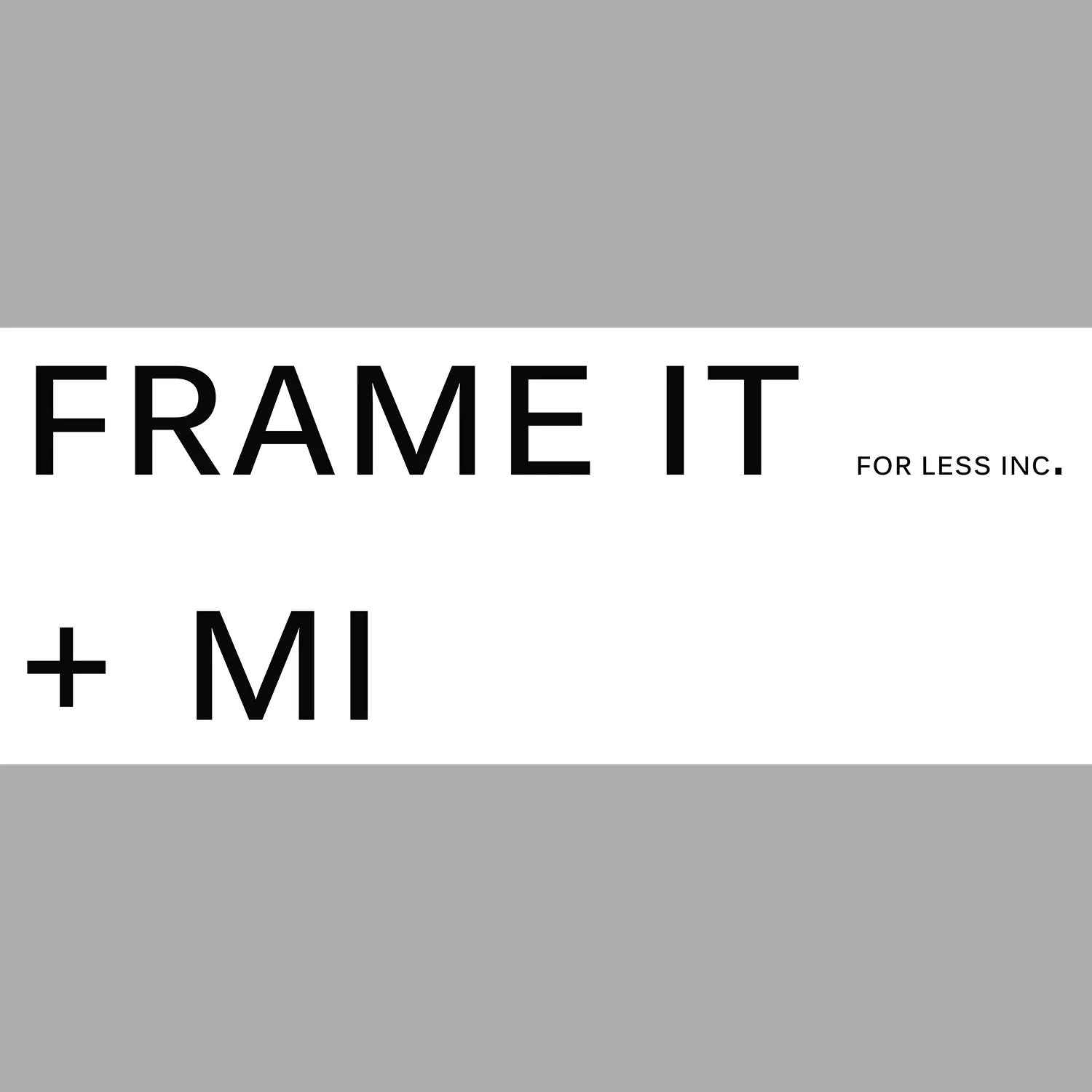 FRAME IT FOR LESS INC