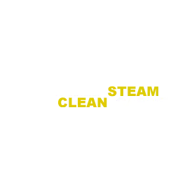 Springfield Steam Clean Carpet