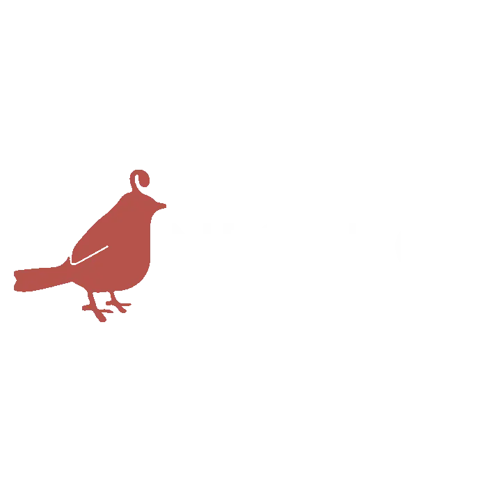 Nest DC