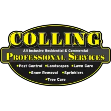 Colling Professional Services