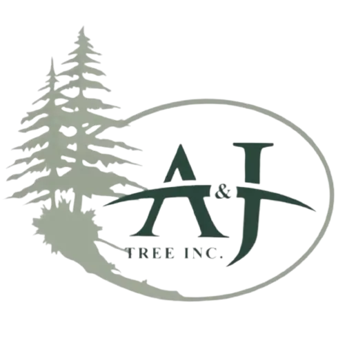 A & J TREE INC