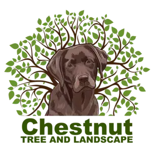 Chestnut Tree And Landscape L.L.C.