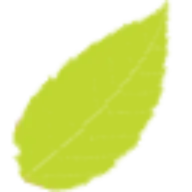 Borsello Landscaping