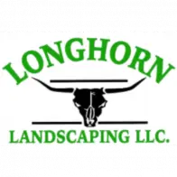 LONGHORN LANDSCAPING LLC