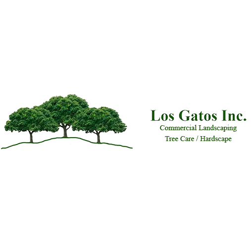 LOS GATOS INC