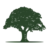 DISCOUNT TREE SERVICES