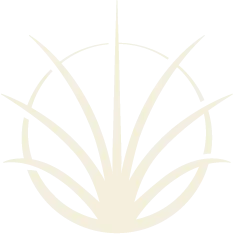 Bill Fleming Landscapes LLC