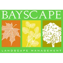 BAYSCAPE MANAGEMENT INC