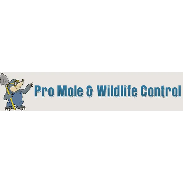 Pro Mole & Wildlife Control