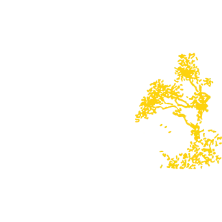 Giovine Landscaping, Inc.