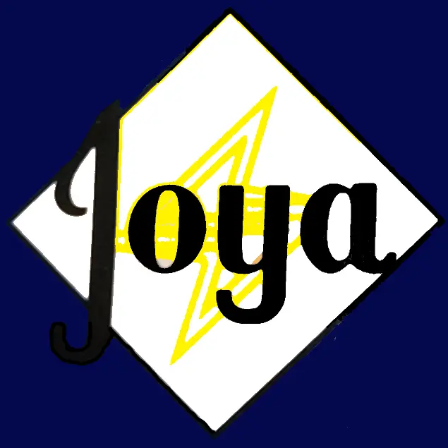 JOYA ELECTRIC INC
