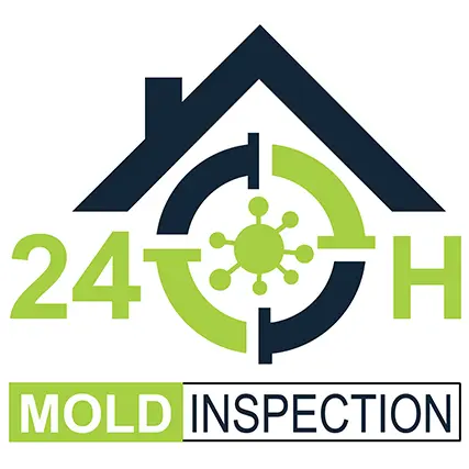 24H Mold Inspection