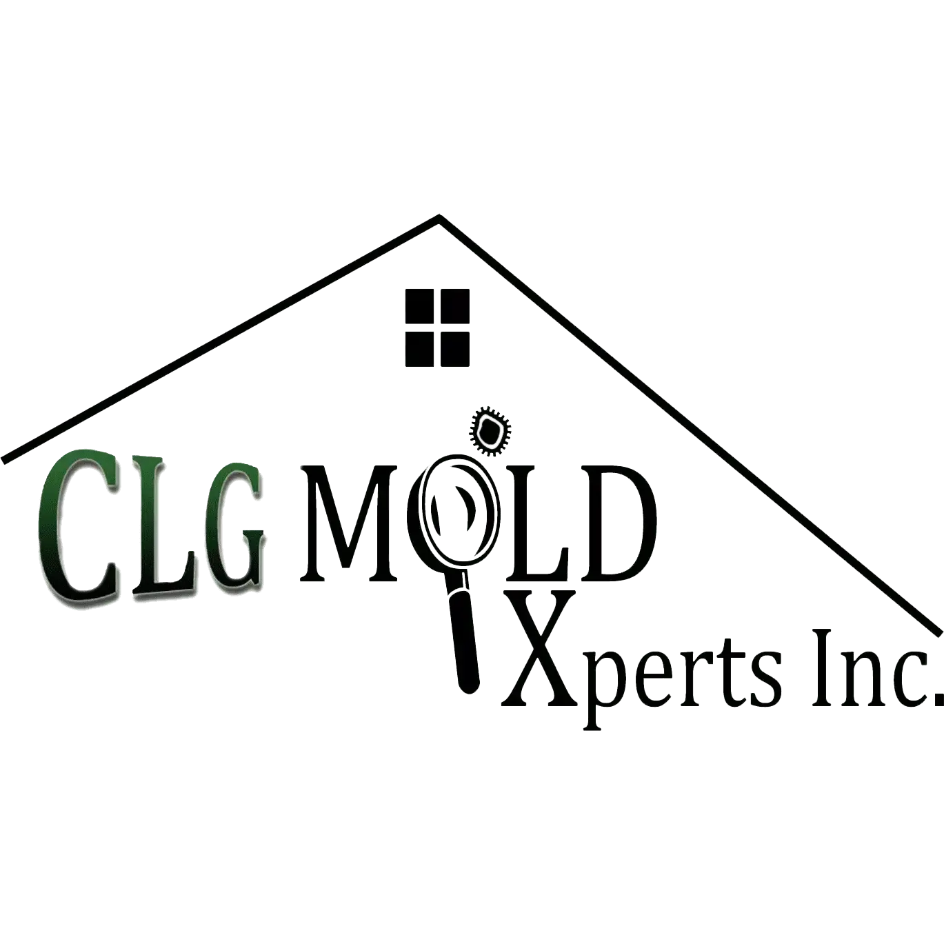 CLG Mold Xperts Inc.
