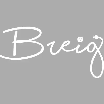 BREIG ELECTRIC AND CONSULTANTS INC.