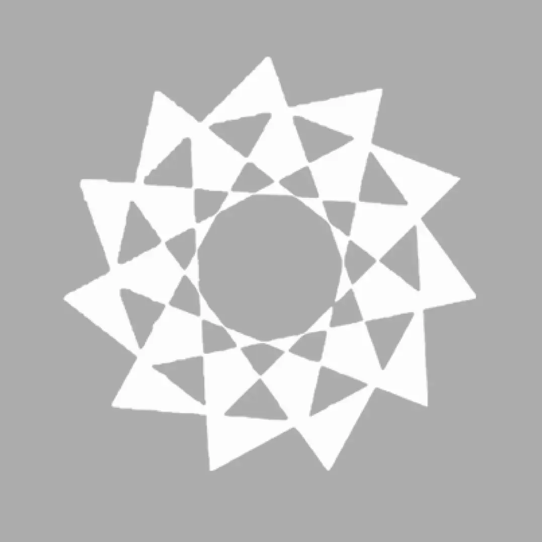 ALTERNATIVE ENERGY APPLICATIONS INC
