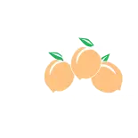 Peachstate Audio