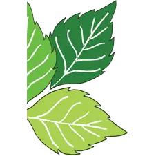DOOLING LANDSCAPE SERVICE