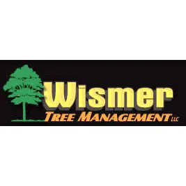 WISMER TREE MANAGEMENT,LLC
