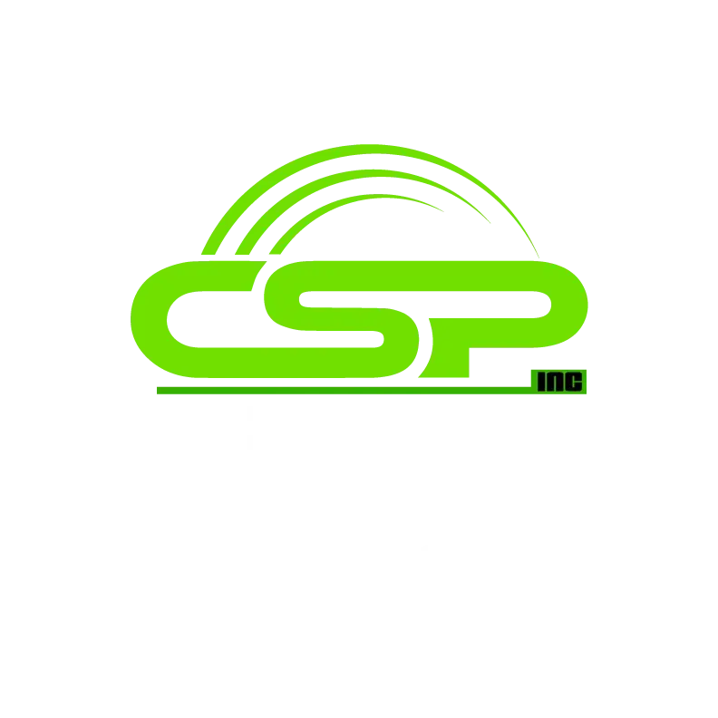 CLEAN SPACES PAINTING INC