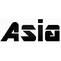 ASIA GENERAL CONTRACTORS INC