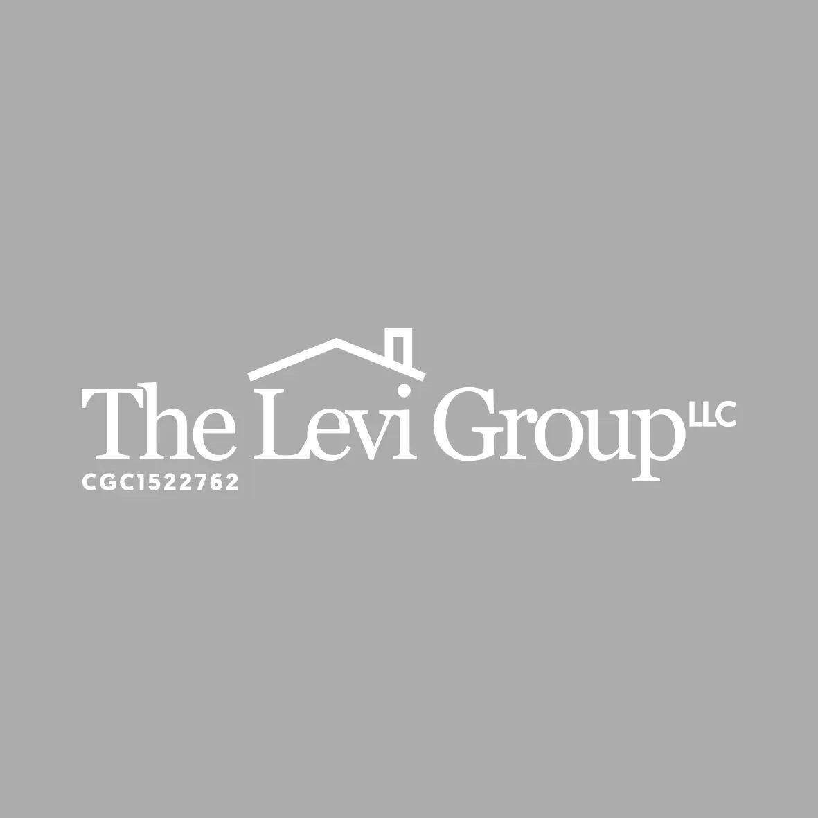 THE LEVI GROUP LLC