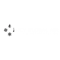 ICY GLOBAL AIR