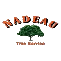 Nadeau Tree Service