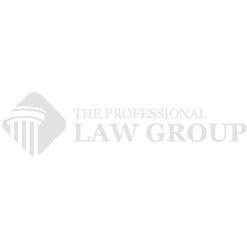 The Professional Law Group