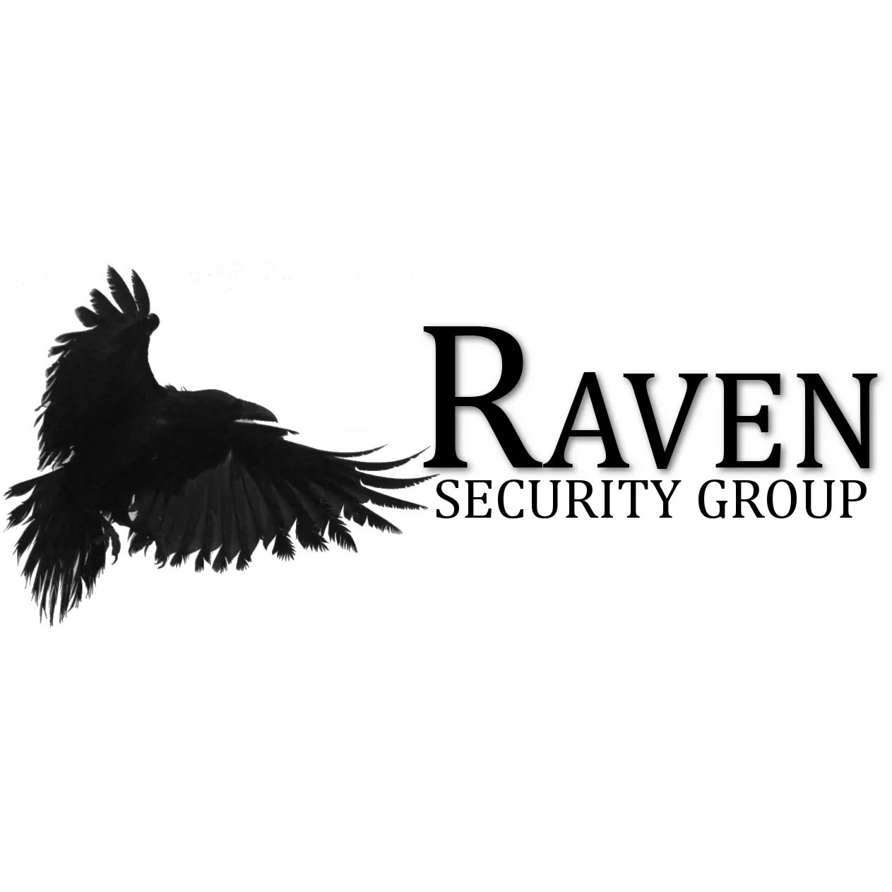 Raven Security Group