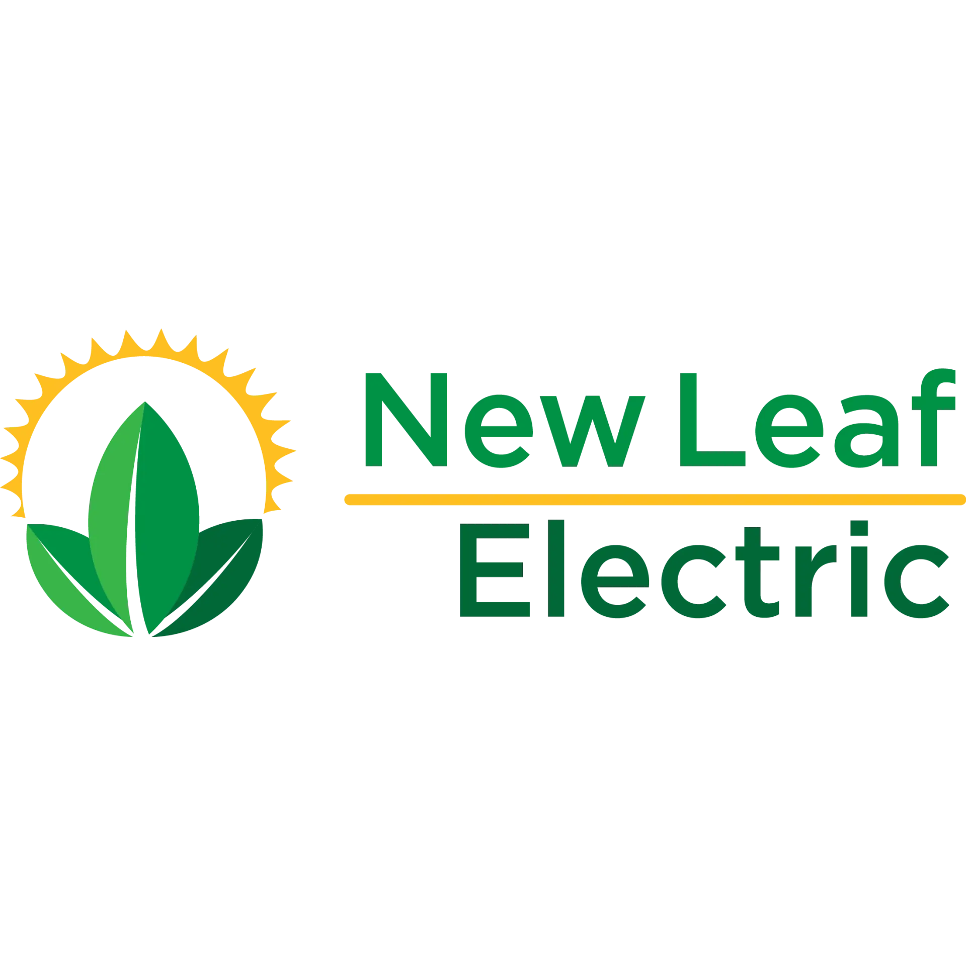 NEW LEAF ELECTRIC INC