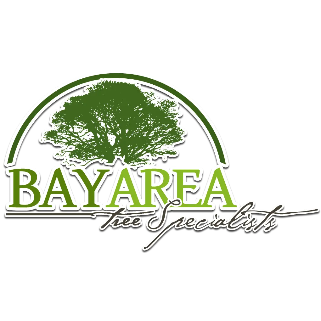 Bay Area Tree Specialists