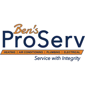 BENS PROFESSIONAL SERVICES LLC