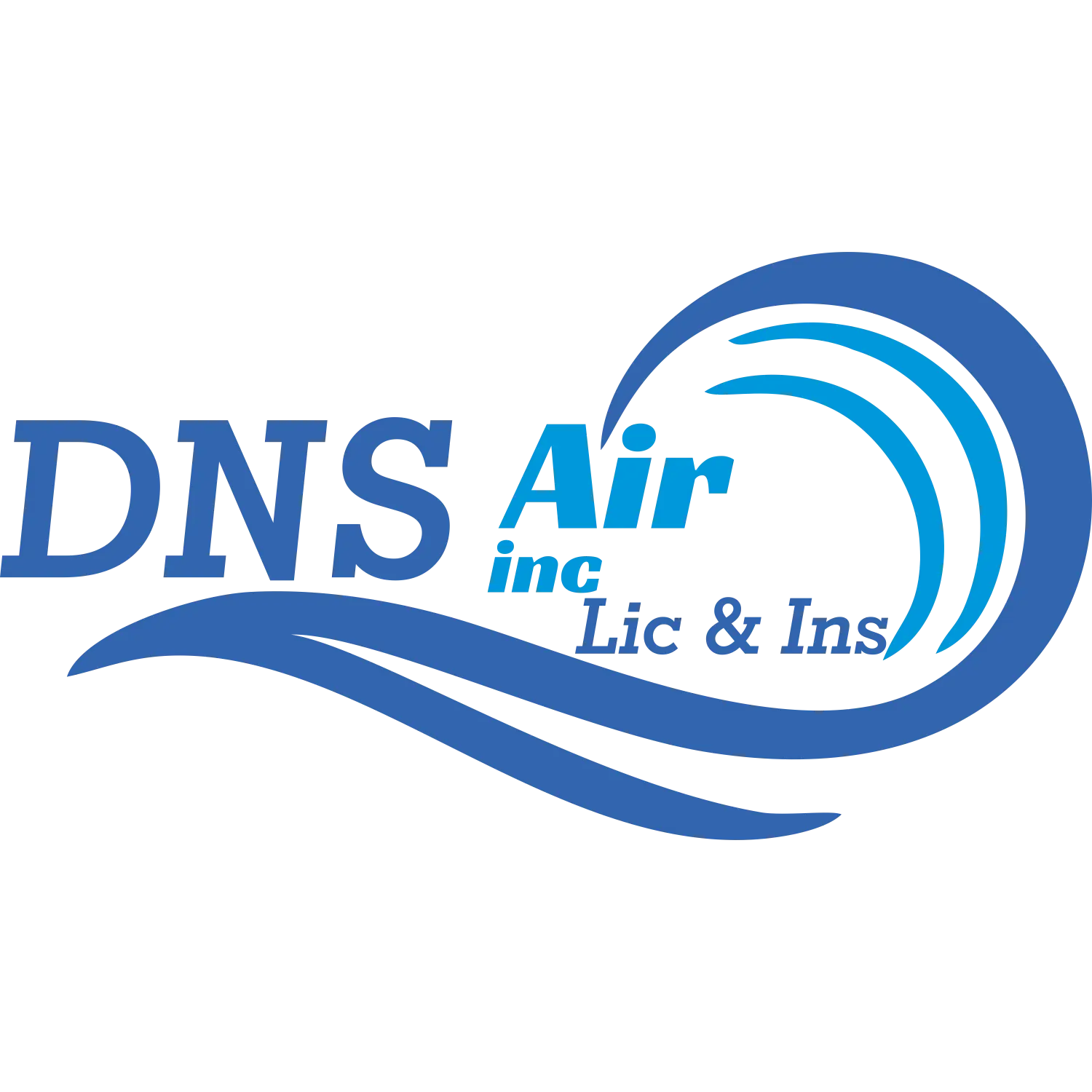 DNS AIR INC